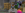 2023-02-07_12.35.41.png