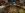 2023-06-23_17.00.54.png