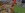 2024-02-05_17.45.26.png