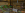 2024-07-13_12.36.35.png