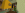 2024-07-15_18.25.02.png